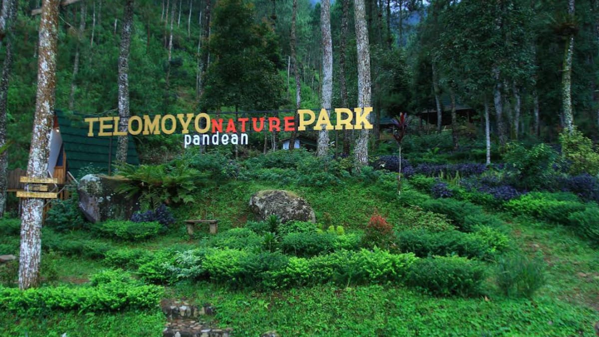 Telomoyo Nature Park: Menikmati Pesona Alam di Lereng Gunung Merapi